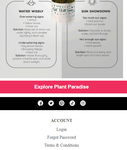 Net Florist’s Plant Appreciation Day email